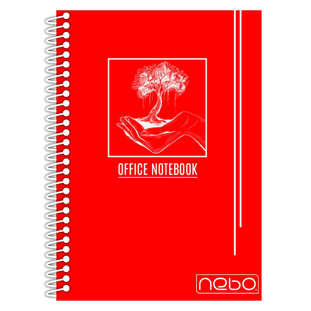 Caiet A5 80 file AR coperta PP cu spira NEBO Matematica [5]