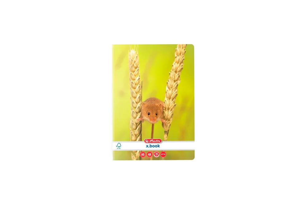 Caiet A5 matematica 48 file veline Animals Herlitz [6]