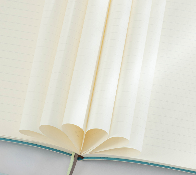 Caiet birou A5 96 file dictando coperta imitatie piele bleu Deli [3]