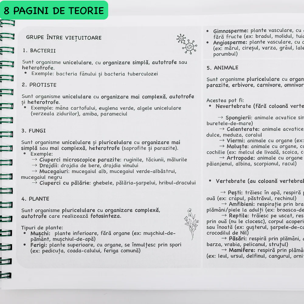 Caiet de Biologie B5 Izzie cu Teorie [6]