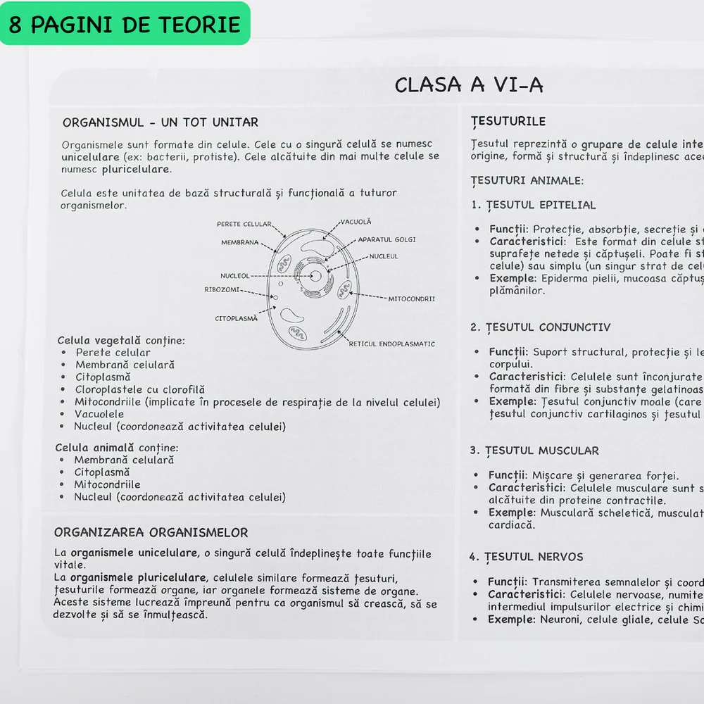 Caiet de Biologie B5 Izzie cu Teorie [7]