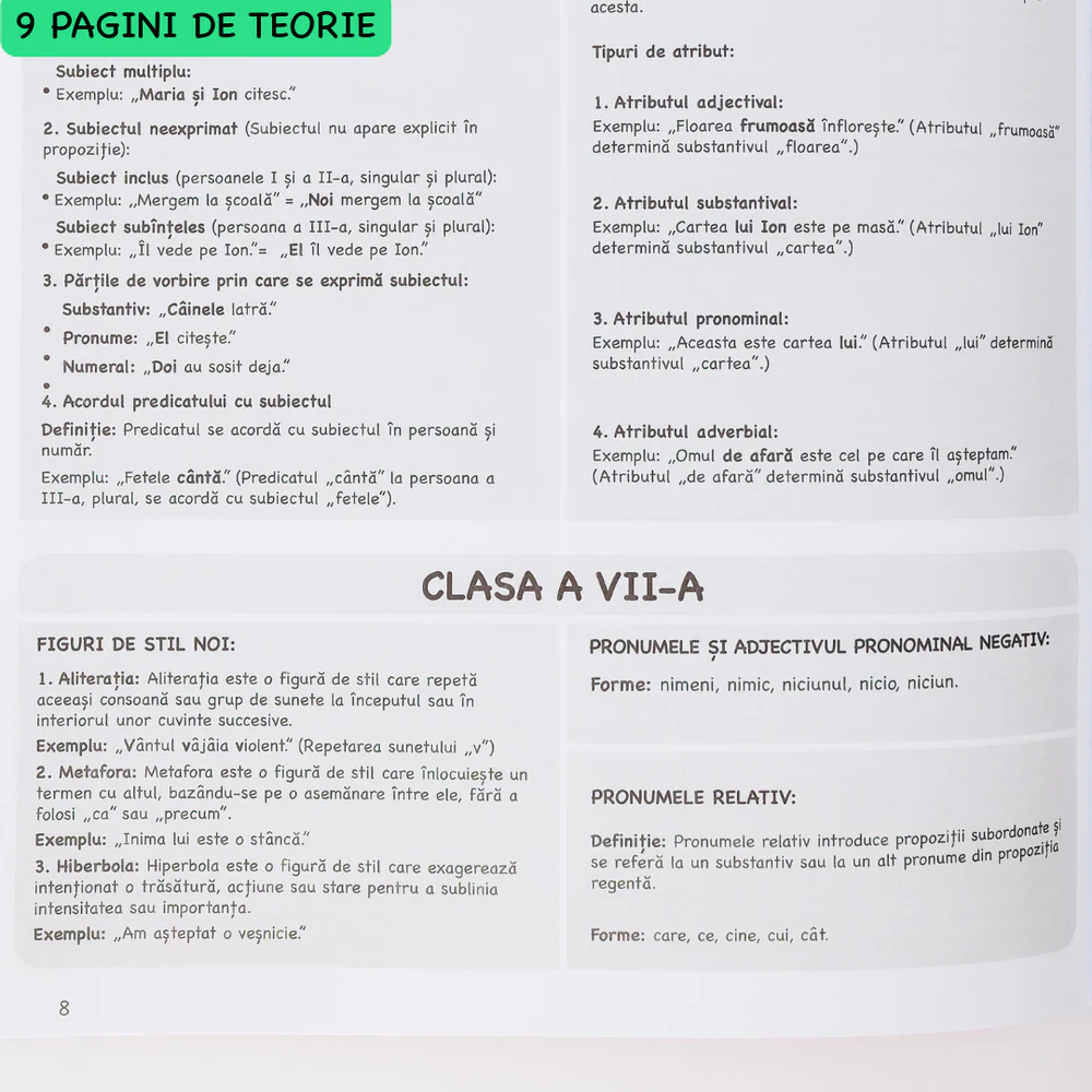 Caiet de Romana A4 Izzie cu Teorie [6]