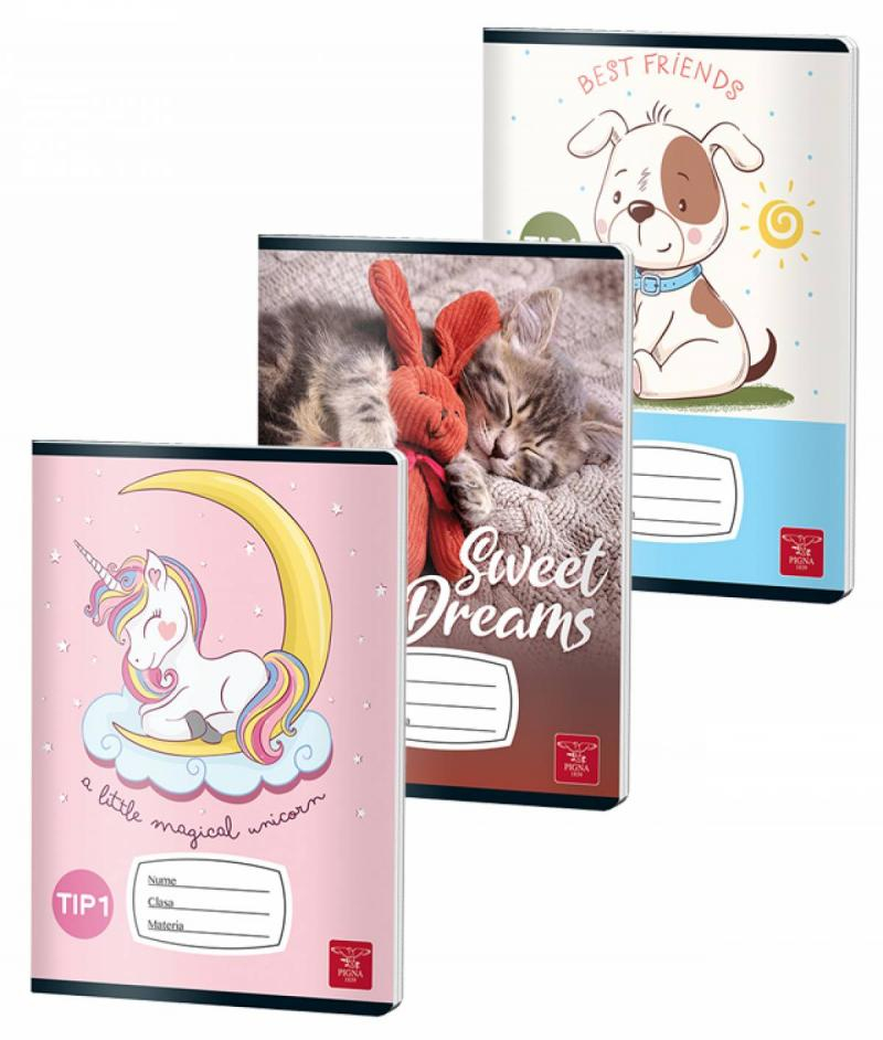 Caiet tip I A5 24 file color Pigna [1]