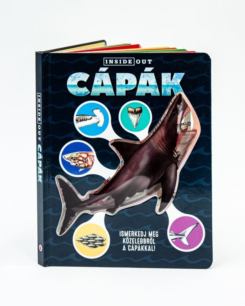Capak - Sophia Willmann [2]