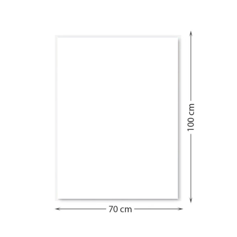 Carton color 220gr/mp 70x100 alb FAVINI 1 coala [1]