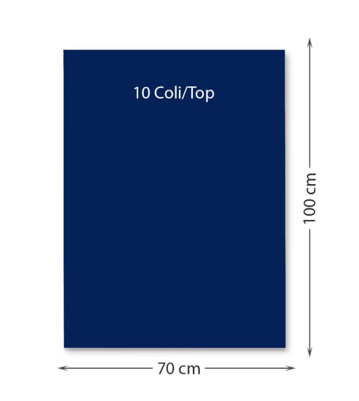 Carton color 220 g/mp 70 x 100 cm 10 coli albastru inchis FAVINI [1]