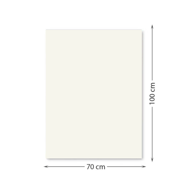 Carton color 220gr/mp 70x100 crem FAVINI 1 coala [1]