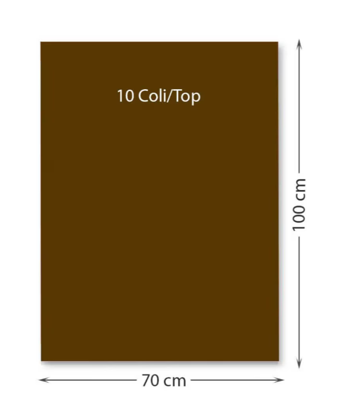 Carton color 220 g/mp 70 x 100 cm 10 coli maro FAVINI [1]