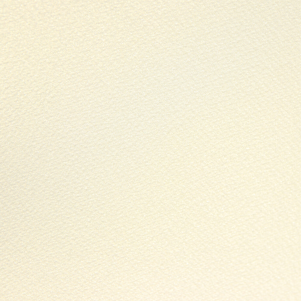 Carton special A4 Modigliani Doré Candido 205g 3/set [1]