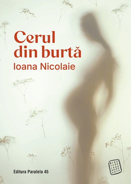 Cerul din burta – Ioana Nicolaie [1]