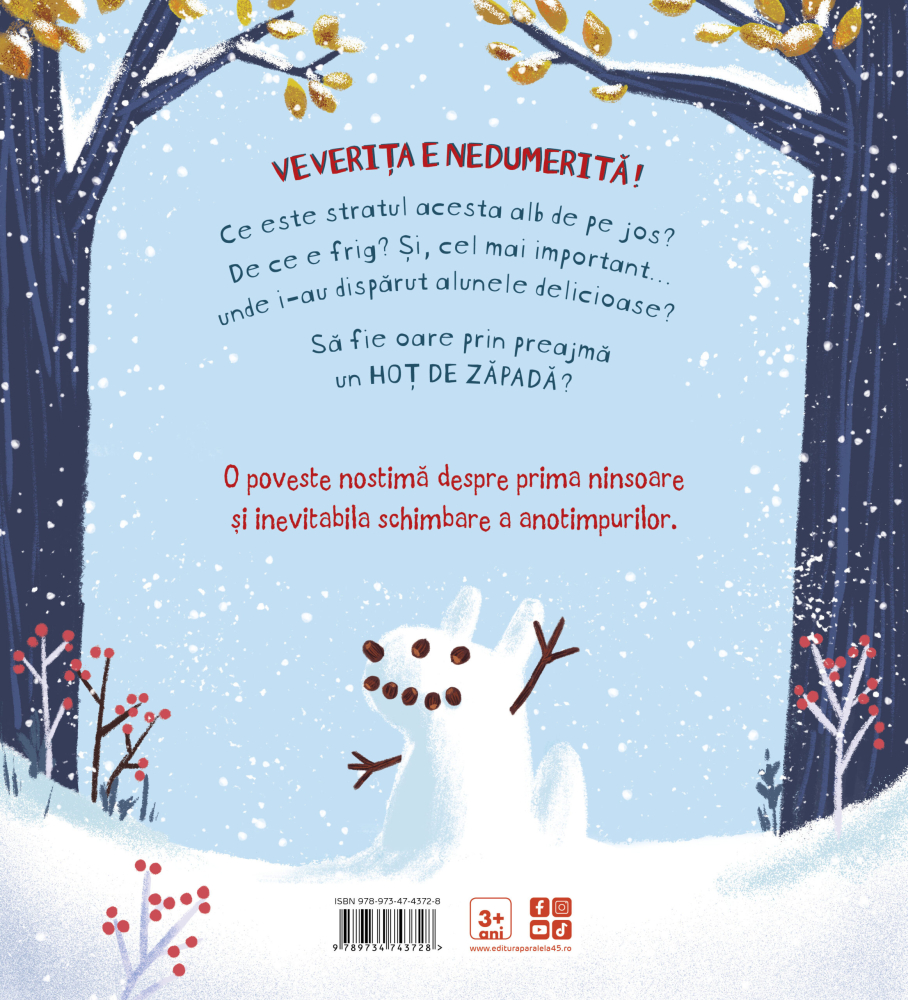 Cine mi-a furat zapada - Alice Hemming [2]