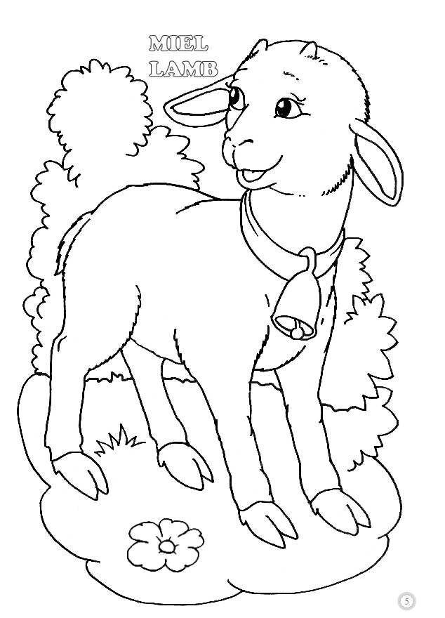 Coloram desene mari pentru cei mici: Animale domestice – Pui [3]