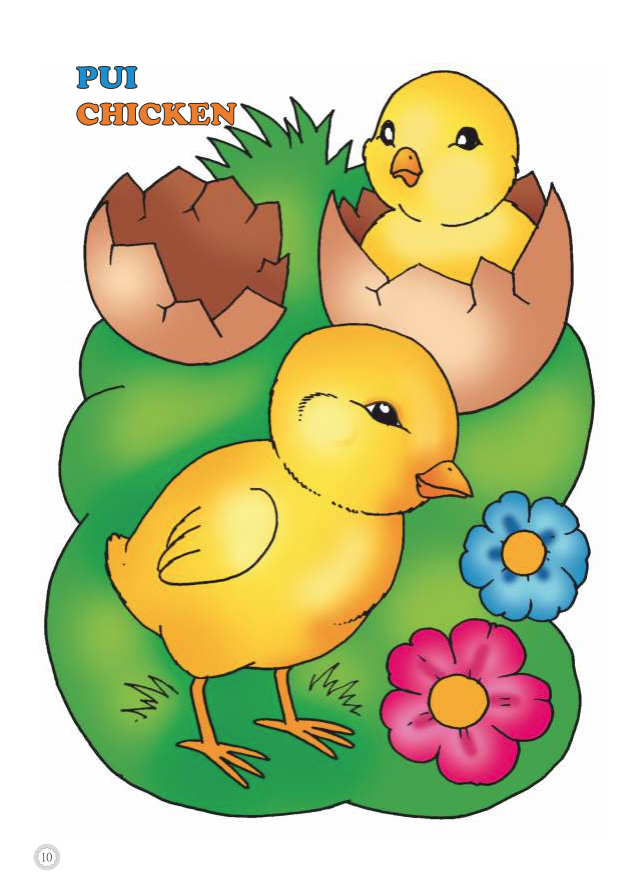 Coloram desene mari pentru cei mici: Animale domestice – Pui [4]