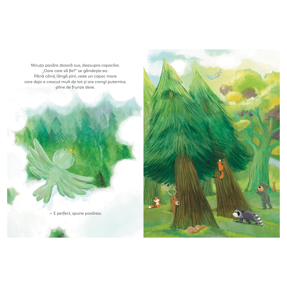 Copacii nu sunt doar pentru păsări. O poveste despre acceptare și armonie [3]