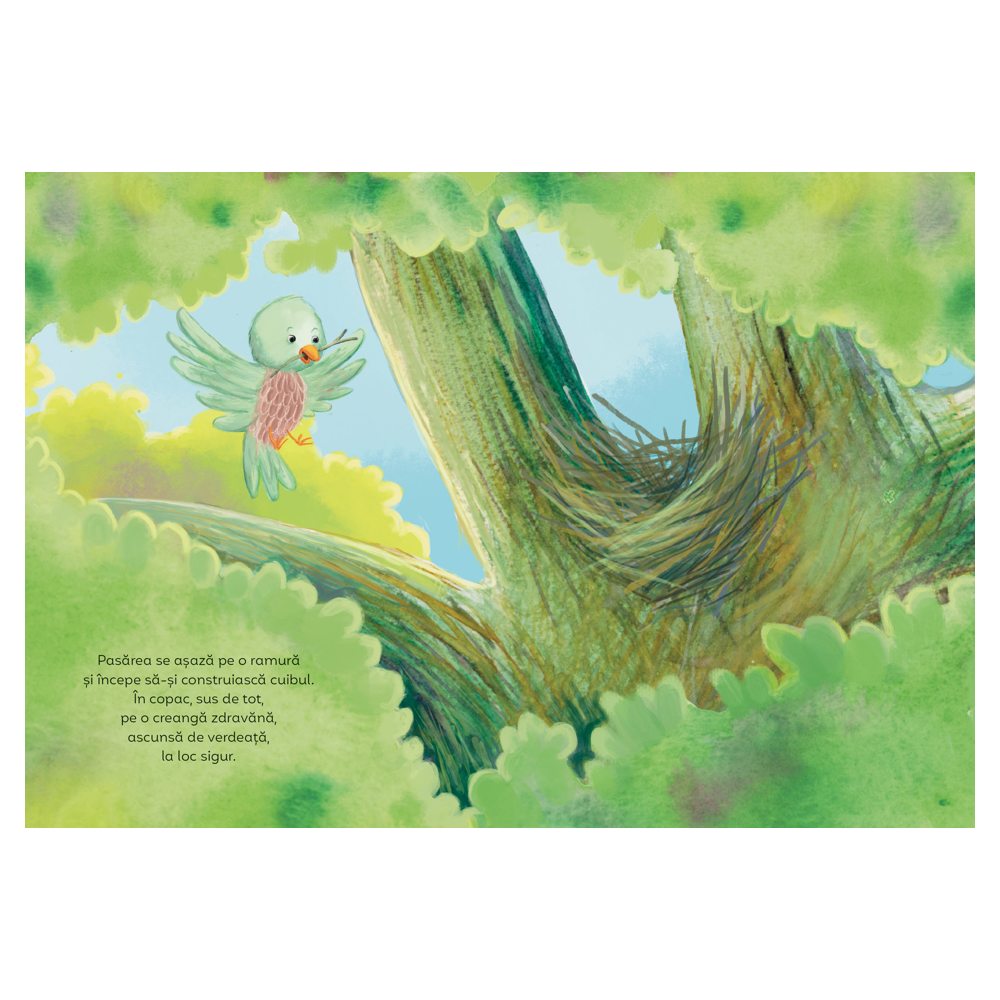 Copacii nu sunt doar pentru păsări. O poveste despre acceptare și armonie [4]