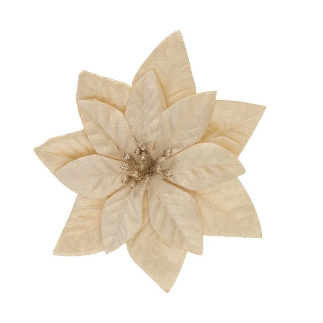 Craciunita cu clema material textil 16 cm sampanie [1]