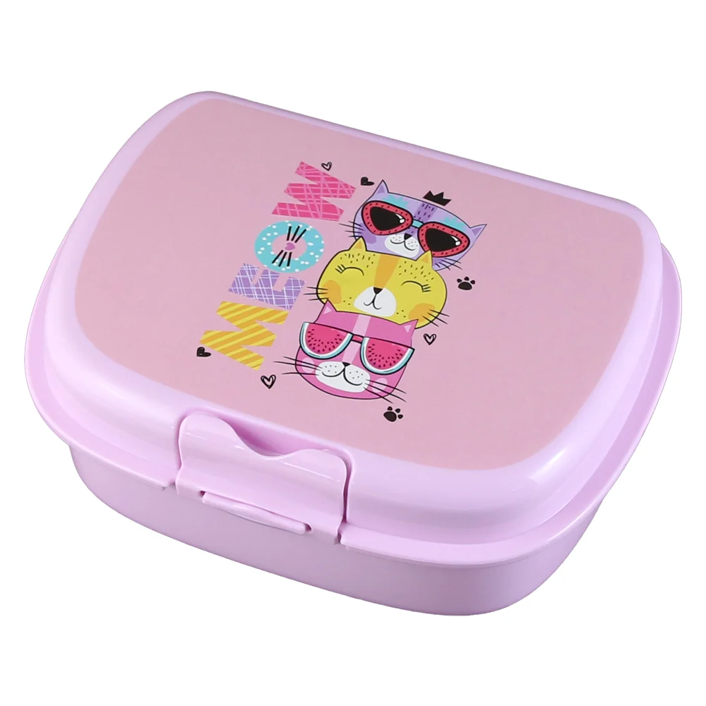 Cutie sandwich plastic 18x13x7 cm diverse culori [3]