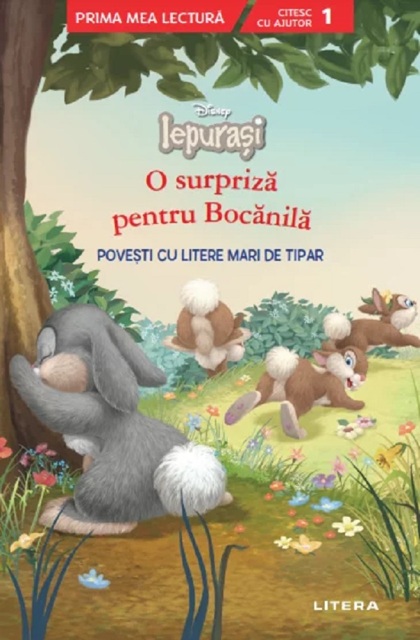 Disney Iepurasi - O surpriza pentru Bocanila [1]