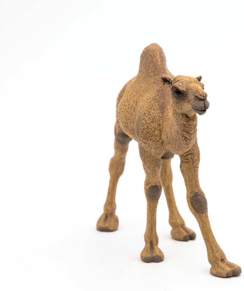 Figurina dromader 15 cm Papo [2]