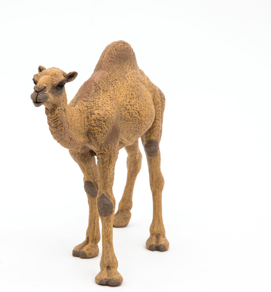 Figurina dromader 15 cm Papo [3]