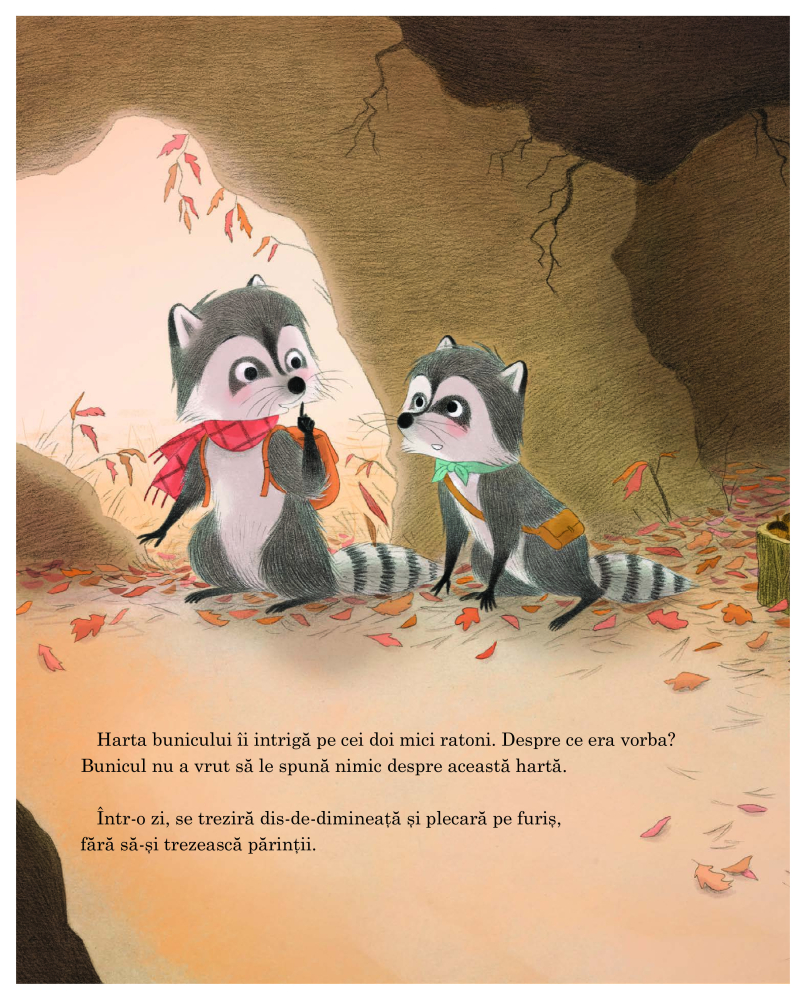 Flip si Flap in cautarea comorii - Roxane Tilman, Axelle Vanhoof [5]