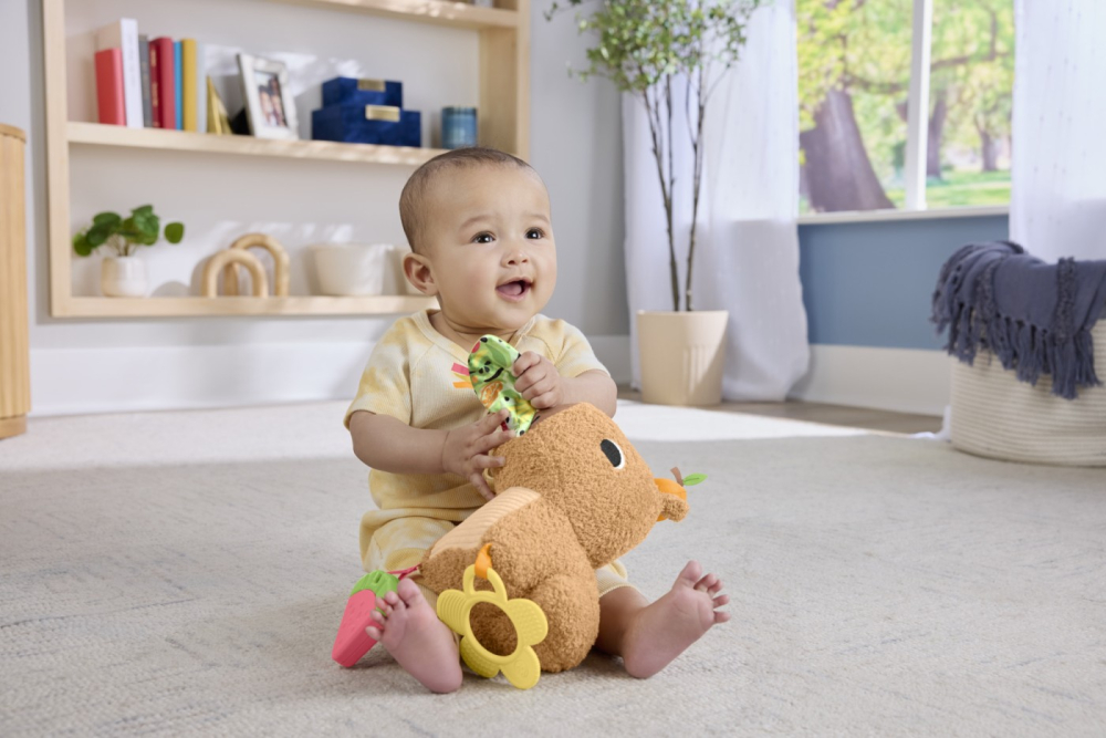 FISHER PRICE JUCARIE SENZORIALA CAPIBARA [6]