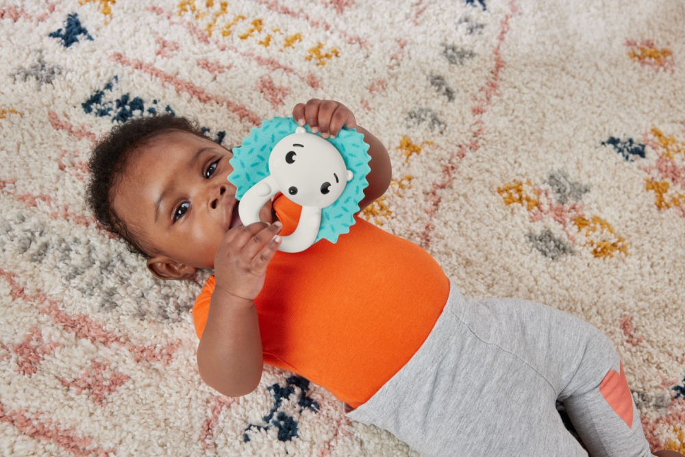 FISHER PRICE JUCARIE ZORNAITOARE ARICI [3]