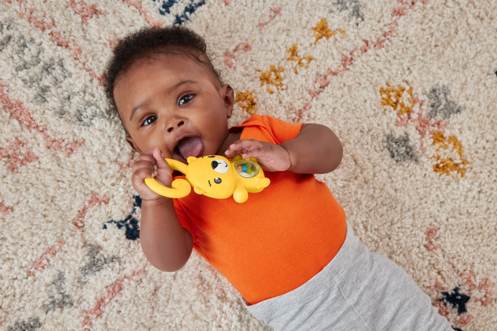 FISHER PRICE JUCARIE ZORNAITOARE LEOPARD [3]