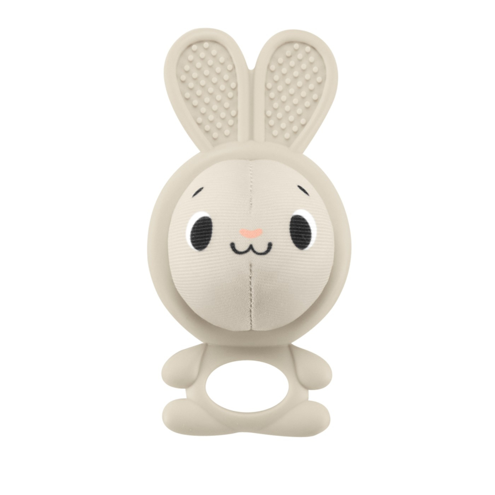 FISHER PRICE SET 4 JUCARII [6]