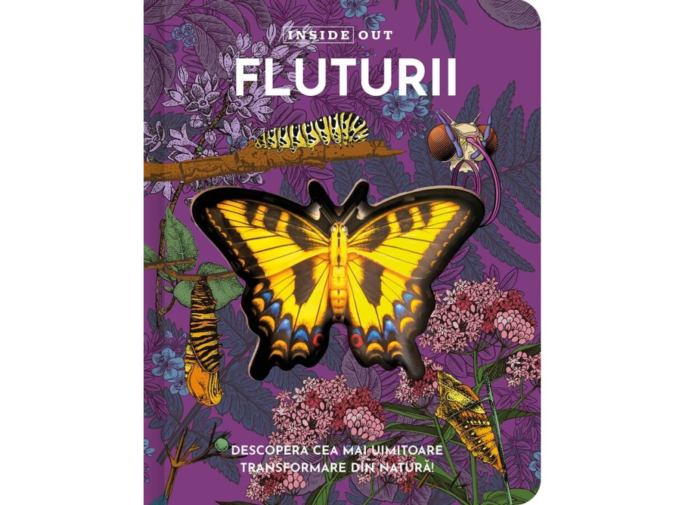 Fluturii – model 3D [1]