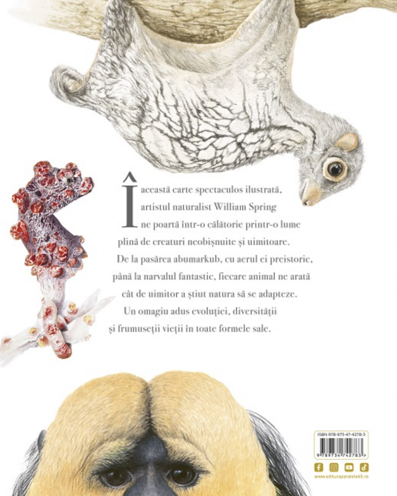 Frumusete. O celebrare a evolutiei – William Spring [2]
