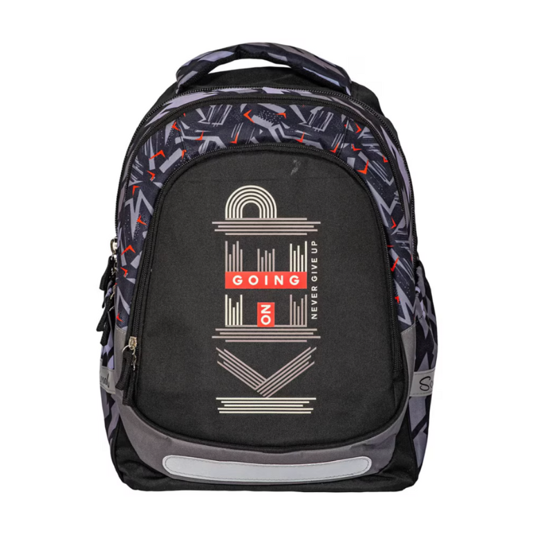 Ghiozdan adolescenti gri 19L S Cool Collection [2]