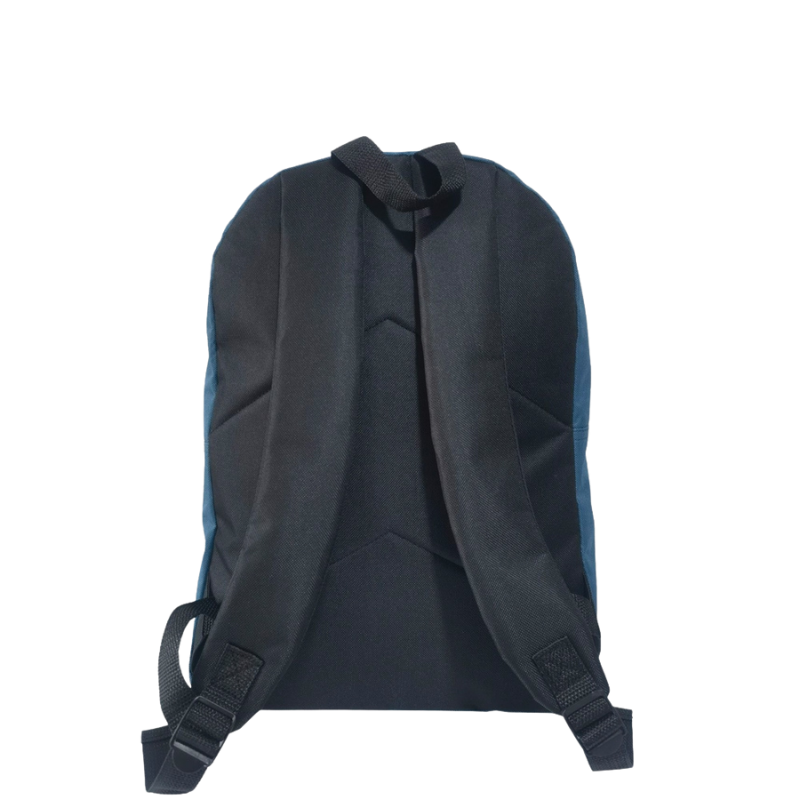 ghiozdan-classic-30x16x43cm-sc3077-libraria-compas [3]