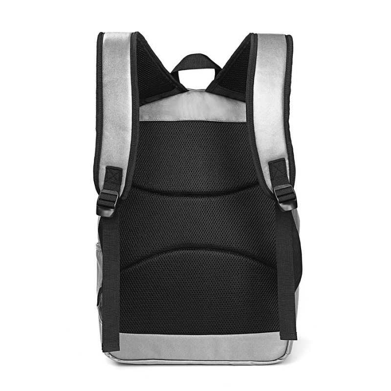 Ghiozdan laptop gri 45 cm S Cool Collection [4]