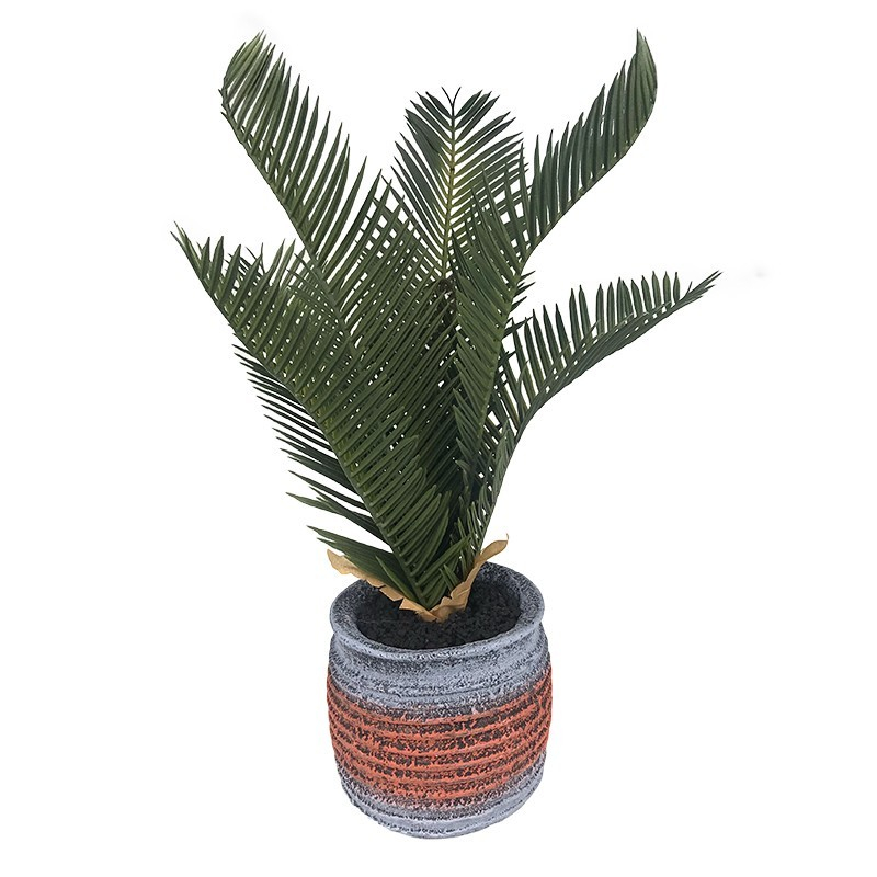 Ghiveci ceramic cu feriga 13x35 cm [2]