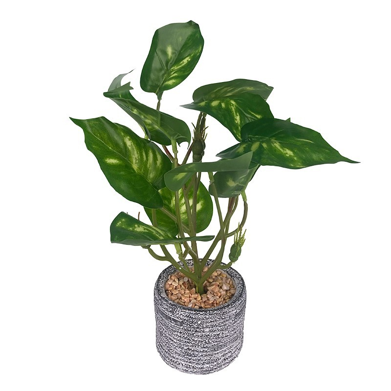 Ghiveci ceramica cu flori plastic 20x30 cm [2]