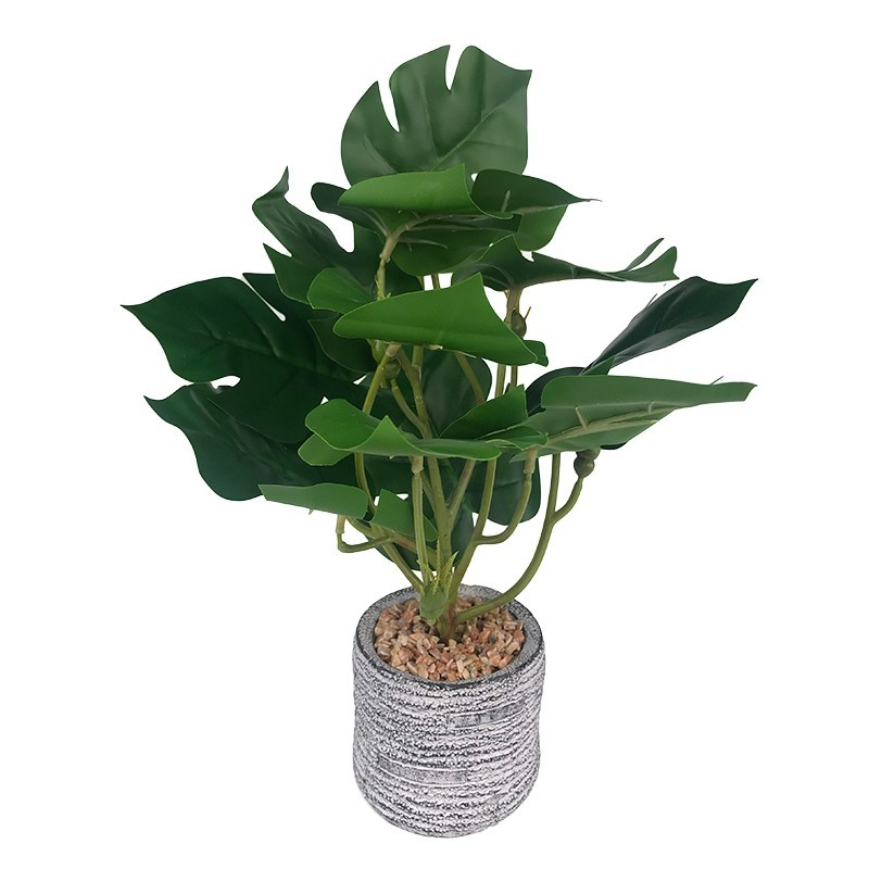 Ghiveci ceramica cu flori plastic 20x30 cm [1]