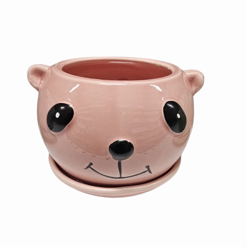 Ghiveci ceramic Koala diverse culori 12 x 8.5 cm [6]