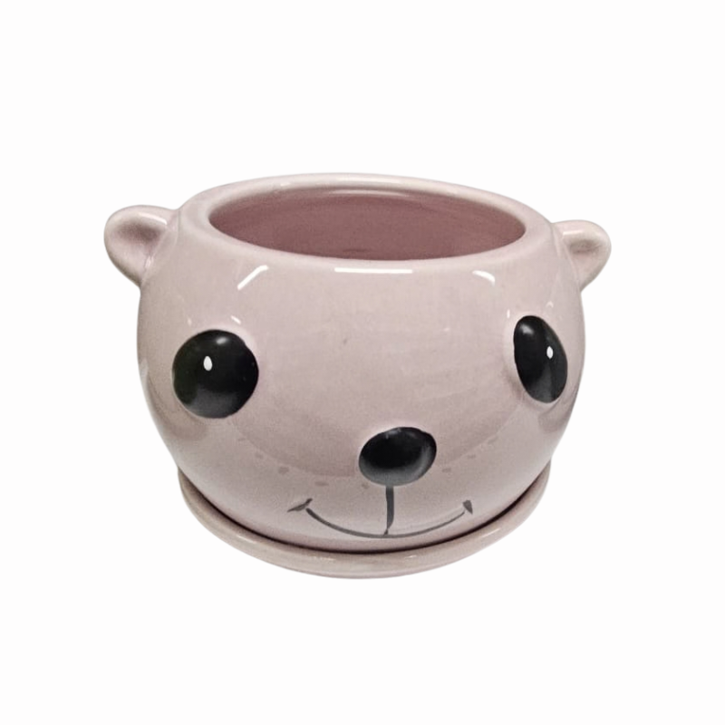 Ghiveci ceramic Koala diverse culori 12 x 8.5 cm [7]