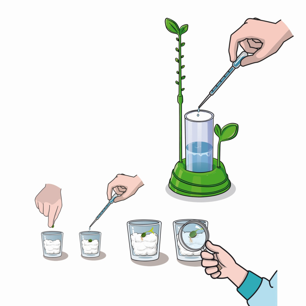 GRADINA MEA STIINTA JOACA [3]