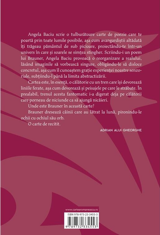 I-am scris lui Brauner un poem - Angela Baciu [2]