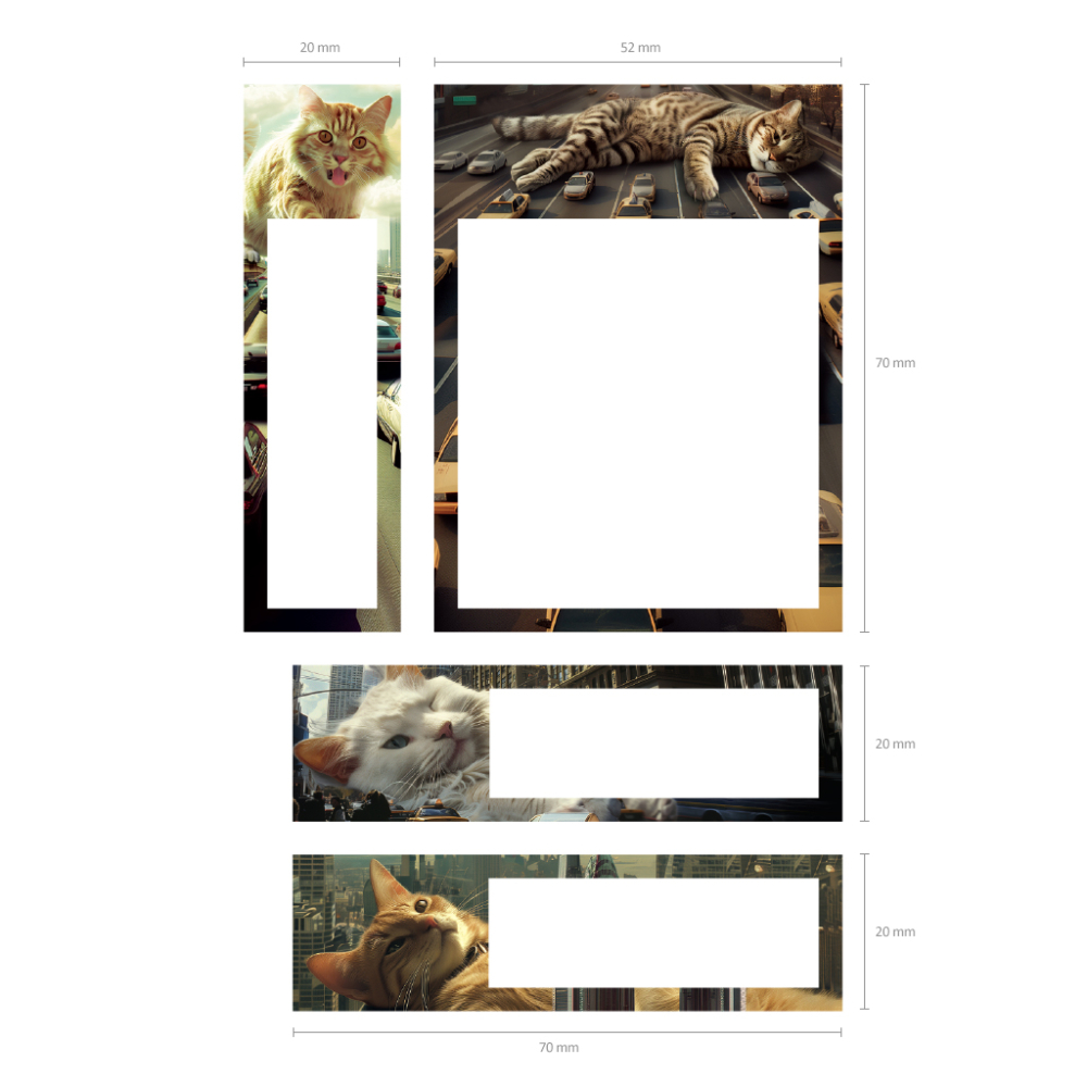Index adeziv de pagina din hartie ErichKrause Big City Cats dimensiuni mixte 80 coli [5]