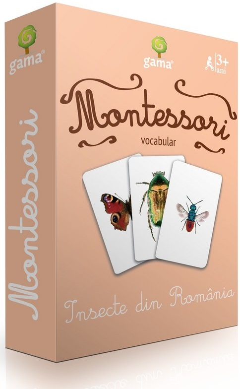 Carti de joc Montessori. Insecte din Romania [1]