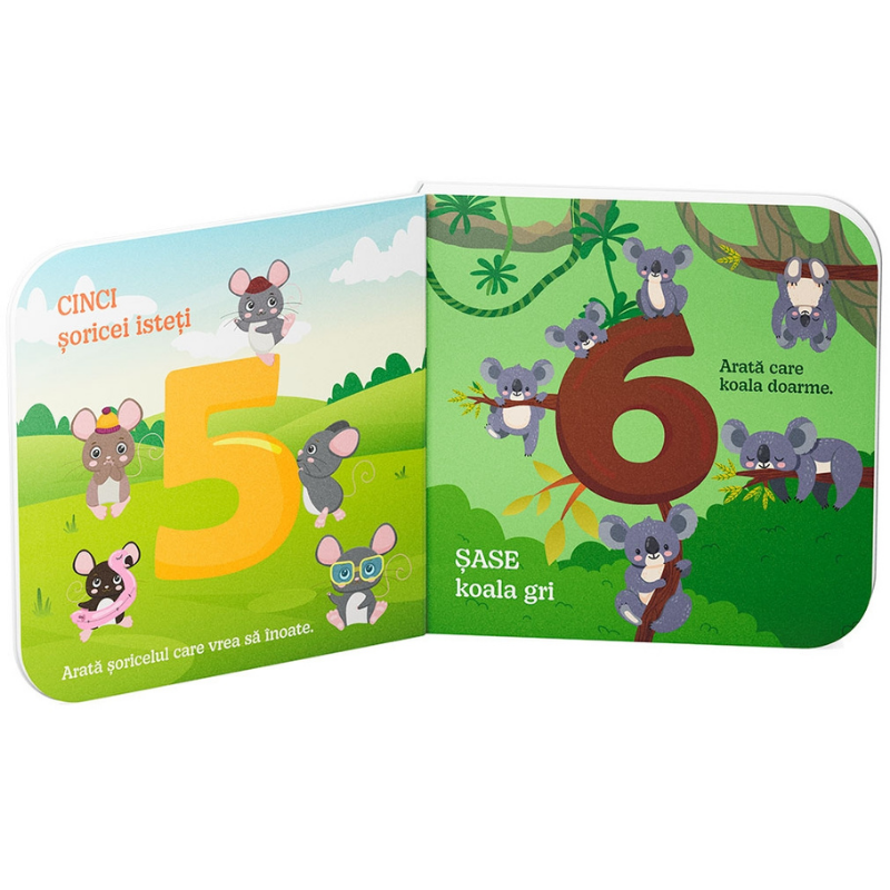 Invata - Numere [4]