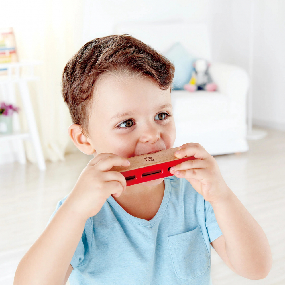 Muzicuță de jucărie din lemn – Hape [3]