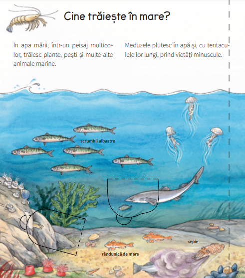 La mare - Andrea Erne [4]