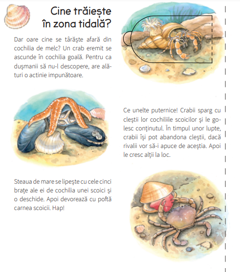 La mare - Andrea Erne [3]