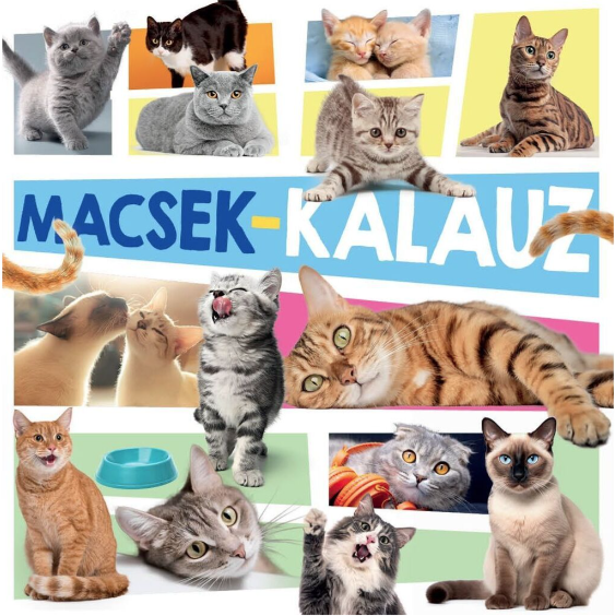 Macsek kalauz [1]
