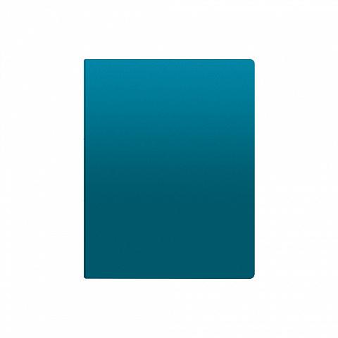 Caiet de prezentare ErichKrause Matt Vivid A4 40 buzunare culori diferite [6]