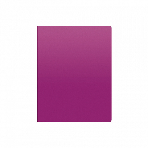 Caiet de prezentare ErichKrause Matt Vivid A4 40 buzunare culori diferite [4]